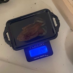 Scale plate